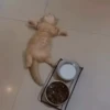 Mood 2 6