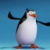 Préndelo pingüino 🐧🔥🐧 6