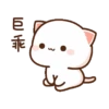 Kucing gemuy 12