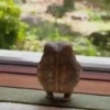 Rana saltando 🐸 11