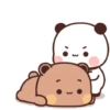 Panda 24