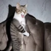 Michis Tóxicos Vol. 1 🐱💣 10