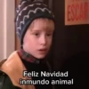 Navidad 🎄 Random 2 5