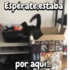 Michis Crazy 🐱🐈‍⬛ 8