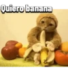 Venezuela 18