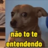 Cachorros debochados 10