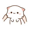 Kucing gemuy 15