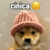 Cachorros debochados 7