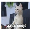 ya se enojo