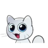 Meme kucing gerak lucu 13