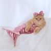 Gatos 2 18
