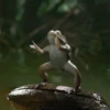 Rana saltando 🐸 15