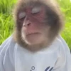 😄 Memes Random Tiktok 😄 7