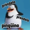 Préndelo pingüino 🐧🔥🐧 15