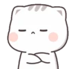 Cat Chan 13