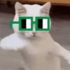 Mas Gatitos Randomcitos 🐾🐱 6