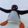 Pingu 14