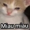 Miau miau