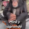 Mirá y aprendé