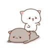 Meong lucu 14