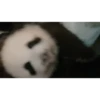 Pandaa 🐼 13