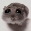 🥲🪾😭 TRISTE | SAD 2 🥲🪾😭 16