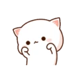 Panda 16