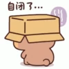 Panda dudu animated 28