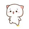 Kucing gemuy 11