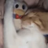 नींद 💤  6