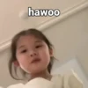 hawoo