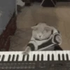 Gatos 2 19