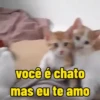 Reactions de gatin 9