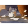 Tom and Jerry 19