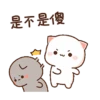 Kucing gemuy 5
