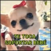 🐾⋆Perros|Dogs|Perritos🐾° 6