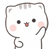 Cat Chan 11