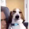 CATIORO 5