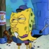 Memes do bob esponja 11