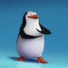 Préndelo pingüino 🐧🔥🐧 7