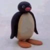 Pingu 14