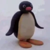 Pingu 15
