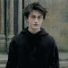 🧹 HARRY POTTER 🧹 15