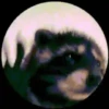 LOL 6