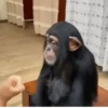 😄 Memes Random Tiktok 😄 11