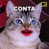 Fala meme  11