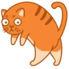 Gatitos🐈 5