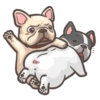 Dog 10