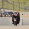 💫 Oso kumamon cute ❣️ 18