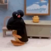 Pingu 🐧 7